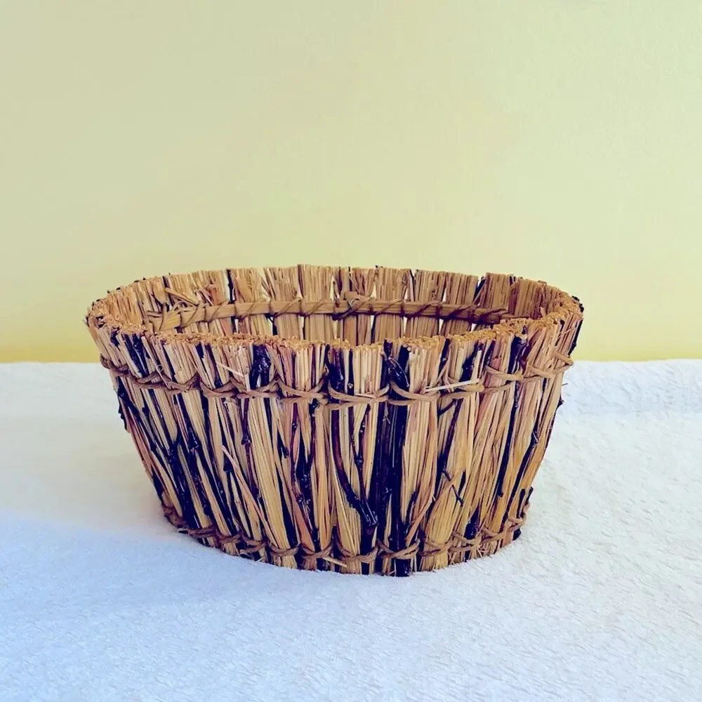 Pier 1 Imports Basket Storage Organizer Bath Office Decorative